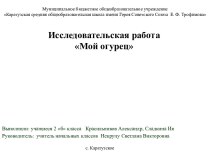 Исследовательская работа Мой огурец опыты и эксперименты по окружающему миру по теме