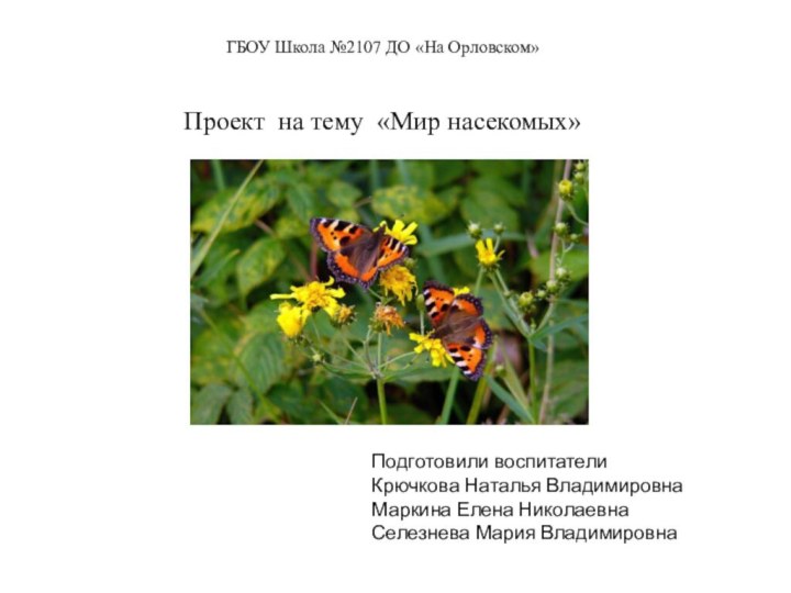 ГБОУ Школа №2107 ДО «На Орловском»    Проект на тему