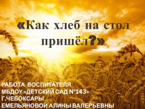 Как хлеб на стол пришёл? план-конспект занятия по окружающему миру (старшая группа) по теме