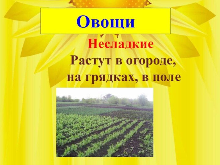 Овощи           Несладкие