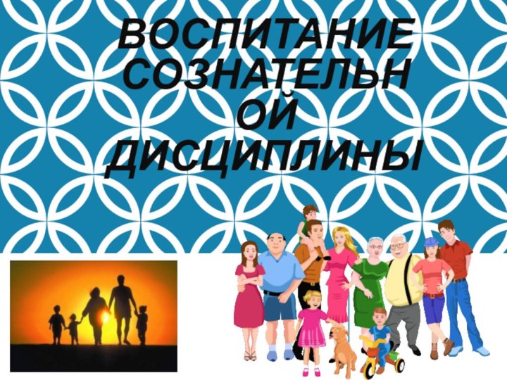 ВОСПИТАНИЕ СОЗНАТЕЛЬНОЙ ДИСЦИПЛИНЫ