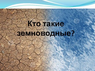 Презентация в старшей группе: Земноводные животные презентация к уроку по окружающему миру (старшая группа)