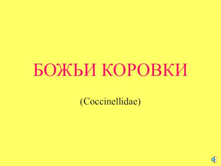 БОЖЬИ КОРОВКИ(Coccinellidae)