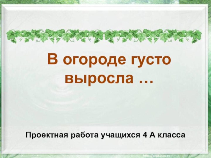 В огороде густовыросла …Проектная работа учащихся 4 А класса