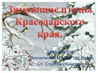 Презентация Зимующие птицы Краснодарского края презентация к уроку по окружающему миру (подготовительная группа)