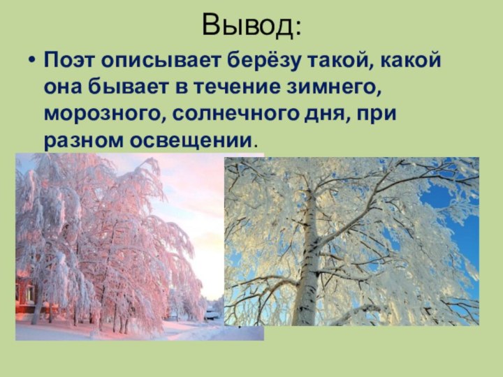 Вывод:Поэт описывает берёзу такой, какой она бывает в течение зимнего, морозного, солнечного