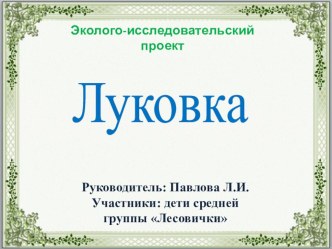 Проект Луковка презентация к уроку (средняя группа)