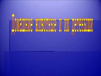 презентация Домашние животные и их детеныши презентация