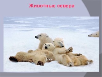 Конспект образовательной ситуации с детьми старшего дошкольного возраста : Чтение ненецкой народной сказки о животных севера Песец и Олень. план-конспект занятия (старшая группа)