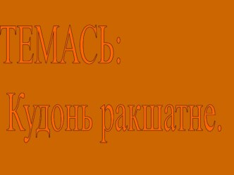 Презентация Кудонь ракшат презентация к уроку