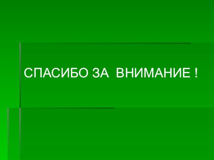 СПАСИБО ЗА ВНИМАНИЕ !