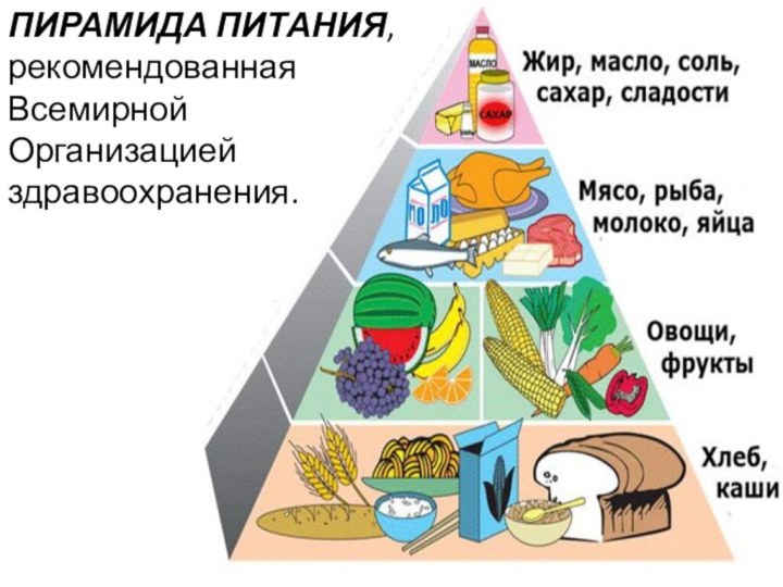 ПИРАМИДА ПИТАНИЯ, рекомендованная Всемирной Организацией здравоохранения.