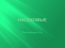 презентация по теме Насекомые в средней группе презентация к занятию по окружающему миру (средняя группа)