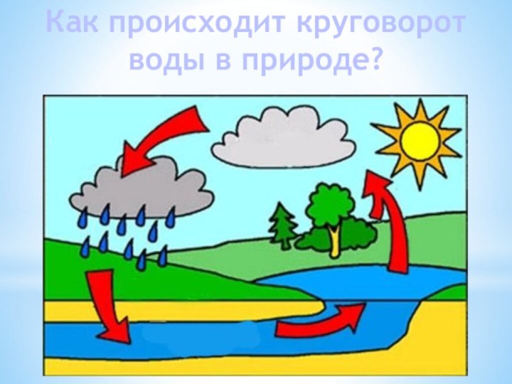 Как происходит круговорот воды в природе?