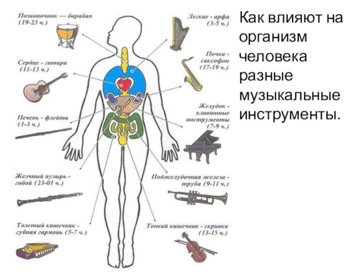 Как влияют на организм человека разные музыкальные инструменты.