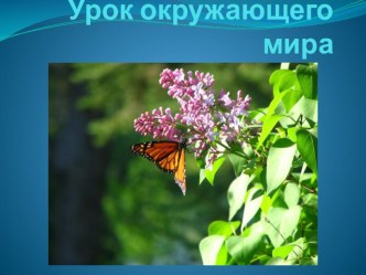 Презентация к уроку окружающего мира по теме Про тебя. презентация к уроку по окружающему миру (2 класс) по теме