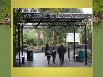 Презентация по английскому языку для детей подготовительной группы Let us go to the Zoo презентация к уроку (подготовительная группа)