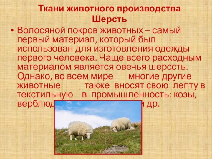 Ткани животного производстваШерстьВолосяной покров животных – самый первый материал, который был использован