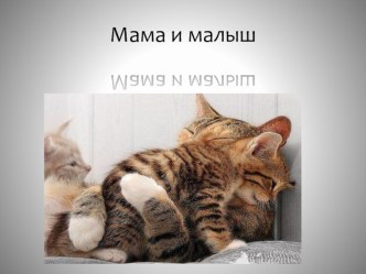 Презентация Мама и малыш презентация к уроку (подготовительная группа)