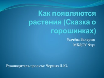 Презентация проекта Как появляются растения проект по окружающему миру (подготовительная группа) по теме