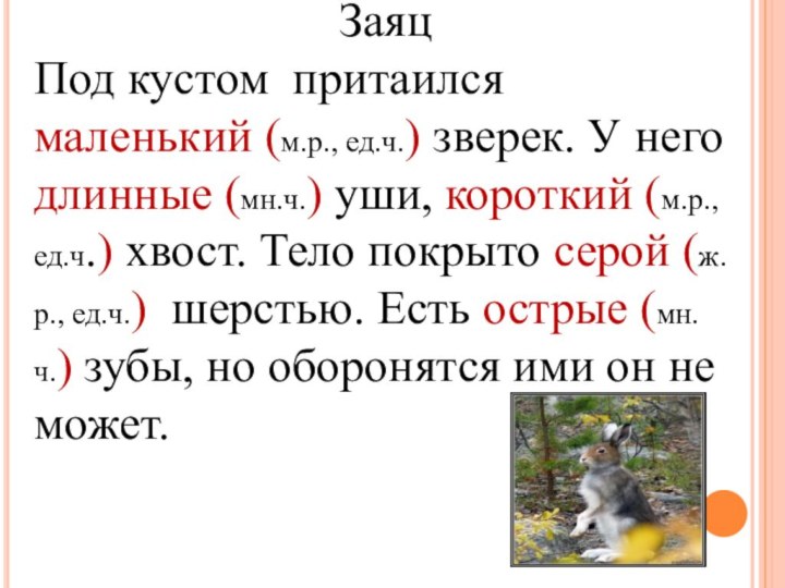 ЗаяцПод кустом притаился маленький (м.р., ед.ч.) зверек. У негодлинные (мн.ч.) уши,