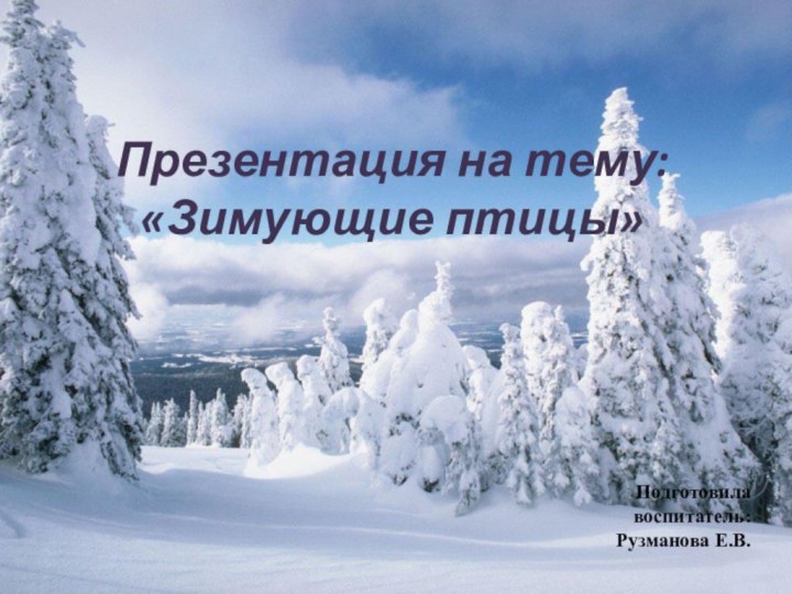 Презентация на тему: «Зимующие птицы»    Подготовила воспитатель:Рузманова Е.В.