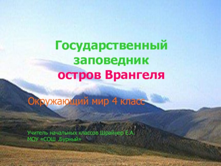 Государственный заповедник  остров ВрангеляОкружающий мир 4 классУчитель начальных классов Шрайнер Е.А. МОУ «СОШ .Бурный»