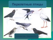 Презентация Перелетные птицы презентация к уроку по окружающему миру (старшая группа)