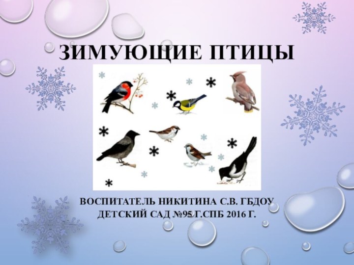 Зимующие ПтицыВоспитатель Никитина С.В. Гбдоу детский сад №95 г.спб 2016 г.