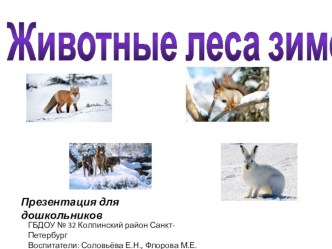 Учебно-методическое пособие Животные леса зимой учебно-методическое пособие по окружающему миру (младшая группа)
