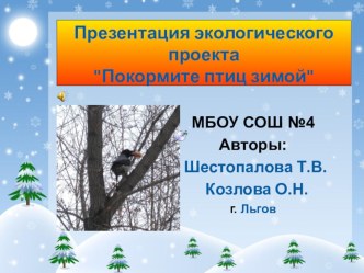 Презентация Покормите птиц зимой презентация к уроку