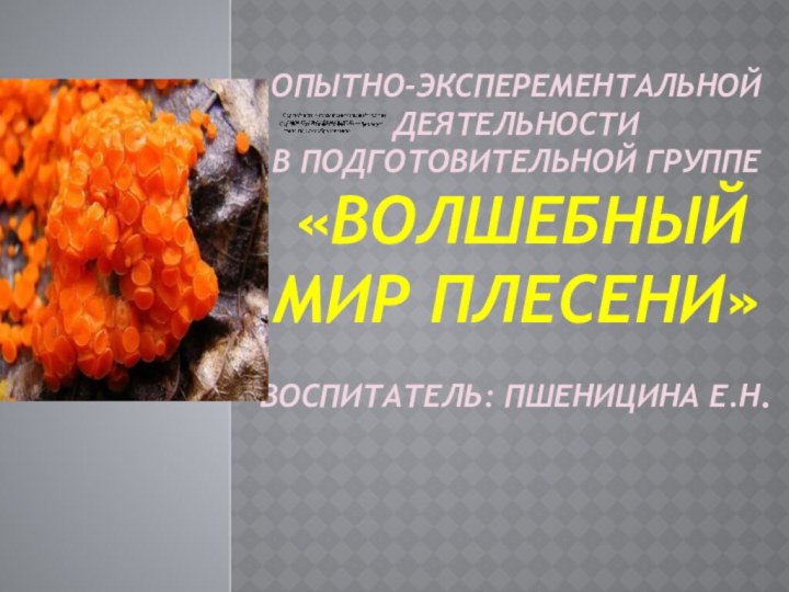 опытно-эксперементальной деятельности в подготовительной группе   «Волшебный мир плесени»  воспитатель: Пшеницина Е.Н.