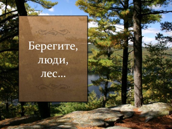 Берегите, люди, лес…