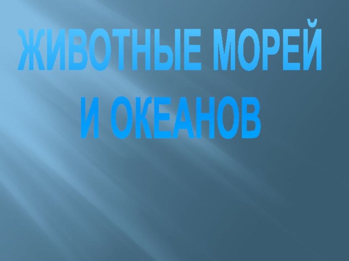 ЖИВОТНЫЕ МОРЕЙ  И ОКЕАНОВ