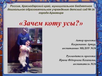 Проект Зачем коту усы презентация к уроку (старшая группа)