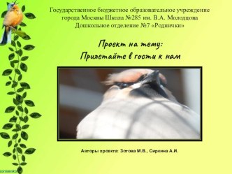 Проект Прилетайте в гости к нам. Авторы проекта: Зотова М.В., Сиркина А.И. проект ( группа) по теме
