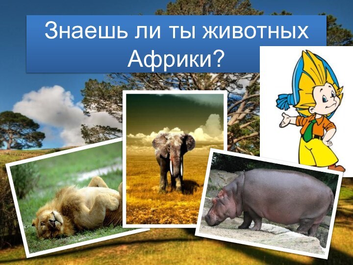 Знаешь ли ты животных Африки?