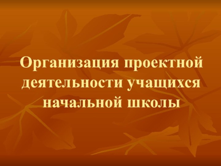 Организация проектной деятельности учащихся начальной школы