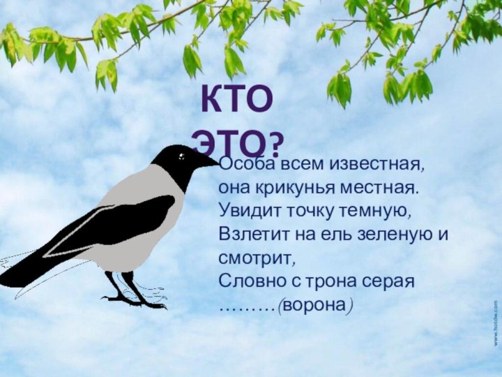 Кто это?Особа всем известная, она крикунья местная.Увидит точку темную, Взлетит на ель