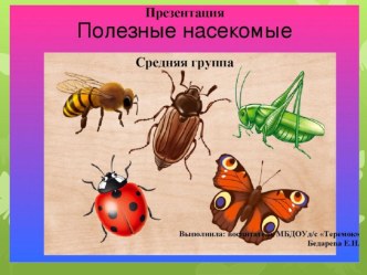 Презентация по экологии Полезные насекомые. Средняя группа презентация к уроку по окружающему миру (средняя группа)