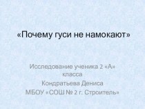 Исследовательская работа презентация к уроку по окружающему миру (2 класс) по теме