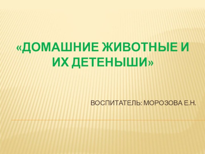 «домашние животные И ИХ ДЕТЕНЫШИ»ВОСПИТАТЕЛЬ: МОРОЗОВА Е.Н.