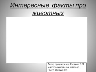 Презентация Интересные факты про животных презентация урока для интерактивной доски по окружающему миру (1 класс)