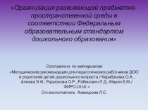 Организация развивающей предметно-пространственной среды в соответствии Федеральным образовательным стандартом дошкольного образования презентация