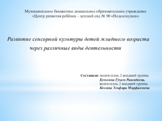 Презентация семинара Развитие сенсорной культуры детей младшего возраста через различные виды деятельности презентация к уроку (младшая группа)