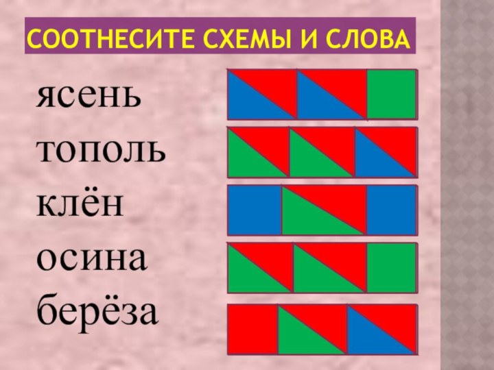 СООТНЕСИТЕ СХЕМЫ И СЛОВАясень тополь клён осина берёза