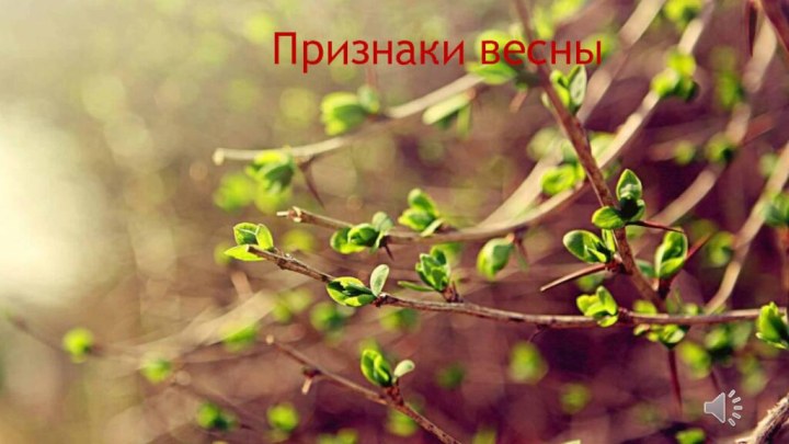 Признаки весны