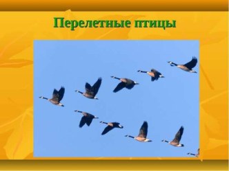 Презентация Перелётные птицы методическая разработка (старшая группа) по теме