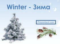 winter - zima