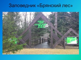 Презентация Брянский заповедник презентация к уроку по окружающему миру (3 класс)